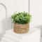 Artificial Eucalyptus Potted Plant Mini Indoor Greenery Home Decor 2