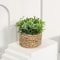 Artificial Eucalyptus Potted Plant Mini Indoor Greenery Home Decor 2