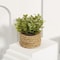 Artificial Eucalyptus Potted Plant Mini Indoor Greenery Home Decor 3