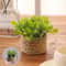 Artificial Eucalyptus Potted Plant Mini Indoor Greenery Home Decor 6