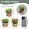 Artificial Eucalyptus Potted Plant Mini Indoor Greenery Home Decor 9