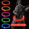 LED Dog Collar Rechargeable Glow Night Safety Luminous Pet Collar For Dogs 0