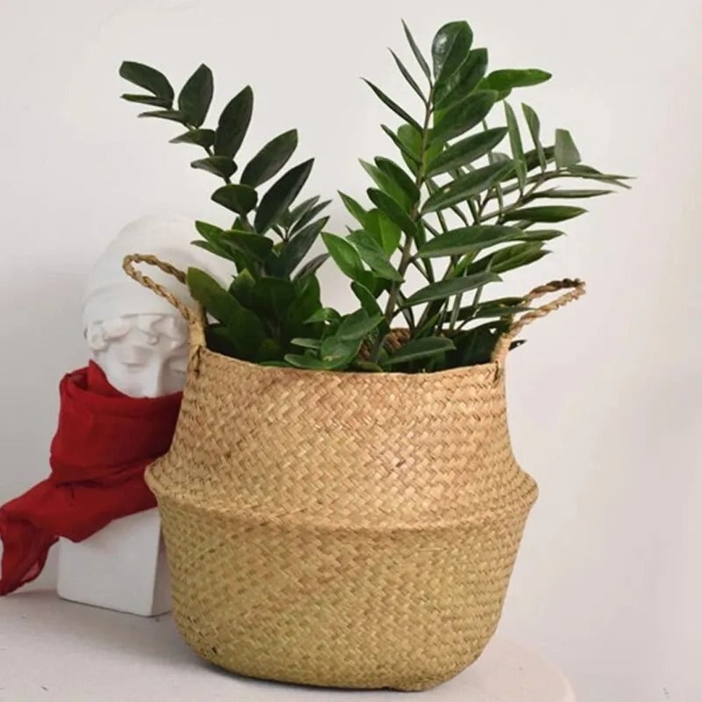 Wicker Storage Basket Folding Seagrass Basket Organizer For Laundry Toys And Plants 0