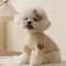 Cozy Bear Pet Hoodie Warm Dog Winter Clothes For Small Pets 8