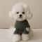 Cozy Bear Pet Hoodie Warm Dog Winter Clothes For Small Pets 7