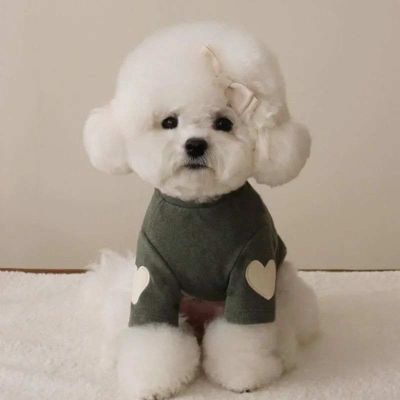 Cozy Bear Pet Hoodie Warm Dog Winter Clothes For Small Pets 7