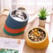 Elevated Stainless Steel Dog Bowl With Tilted Design And Anti Spill Raised Feeder Stand 7