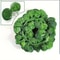 Artificial Ivy Garland Hanging Vine For Home And Wedding Greenery Decor 1