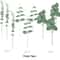 Artificial Eucalyptus Stems Bulk Set For Wedding And Home Greenery Decor 4