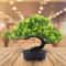 Artificial Bonsai Tree Japanese Pine Mini Plant Decor For Desk And Home 13