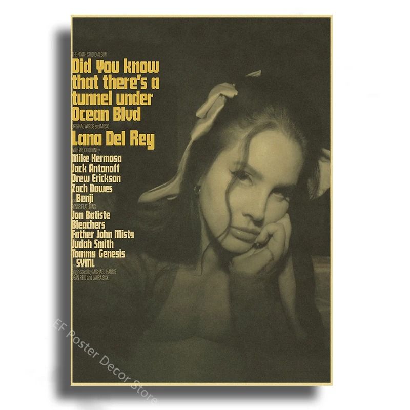 Retro Music Album Poster Aesthetic Wall Art Indie Room Decor 24