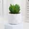 Artificial Succulent Bonsai Mini Plant Realistic Fake Greenery Desk Decor 10