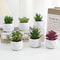 Artificial Succulent Bonsai Mini Plant Realistic Fake Greenery Desk Decor 12