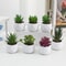 Artificial Succulent Bonsai Mini Plant Realistic Fake Greenery Desk Decor 14