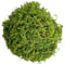 Artificial Moss For Plants Orchid Potting Moss Decorative Green Moss 2
