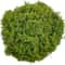 Artificial Moss For Plants Orchid Potting Moss Decorative Green Moss 5
