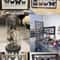 Real Butterfly Specimens Collection Display Insect Specimen Decor Art 5