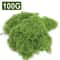 Artificial Moss For Crafts Mini Landscape Moss Decorative Green Moss 3