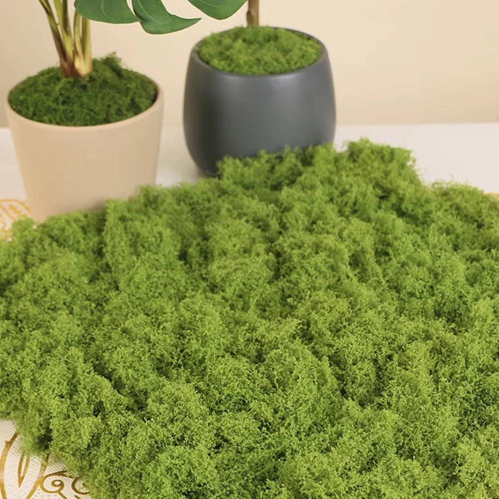 Artificial Moss For Crafts Mini Landscape Moss Decorative Green Moss 0