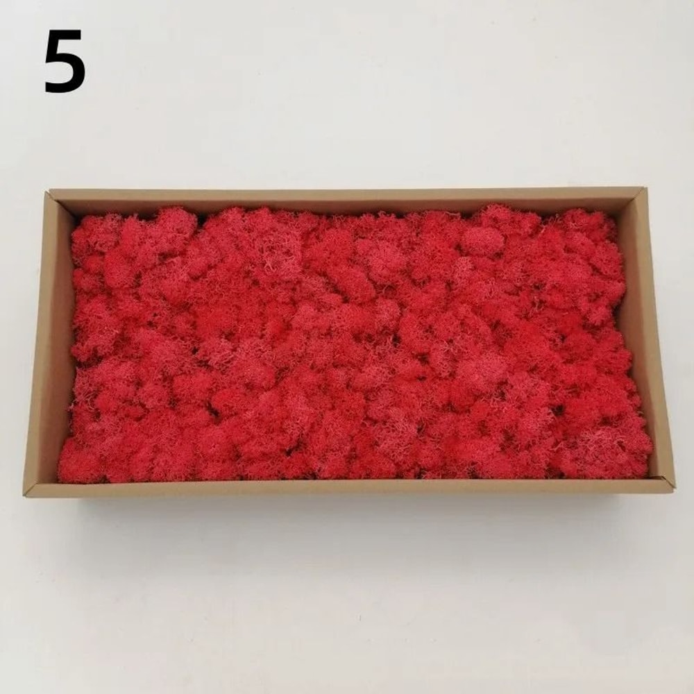 Artificial Moss Decor For Crafts Mini Landscape Green Moss DIY Terrarium Supplies 5