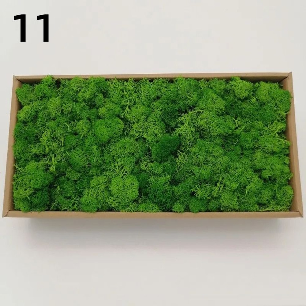 Artificial Moss Decor For Crafts Mini Landscape Green Moss DIY Terrarium Supplies 11