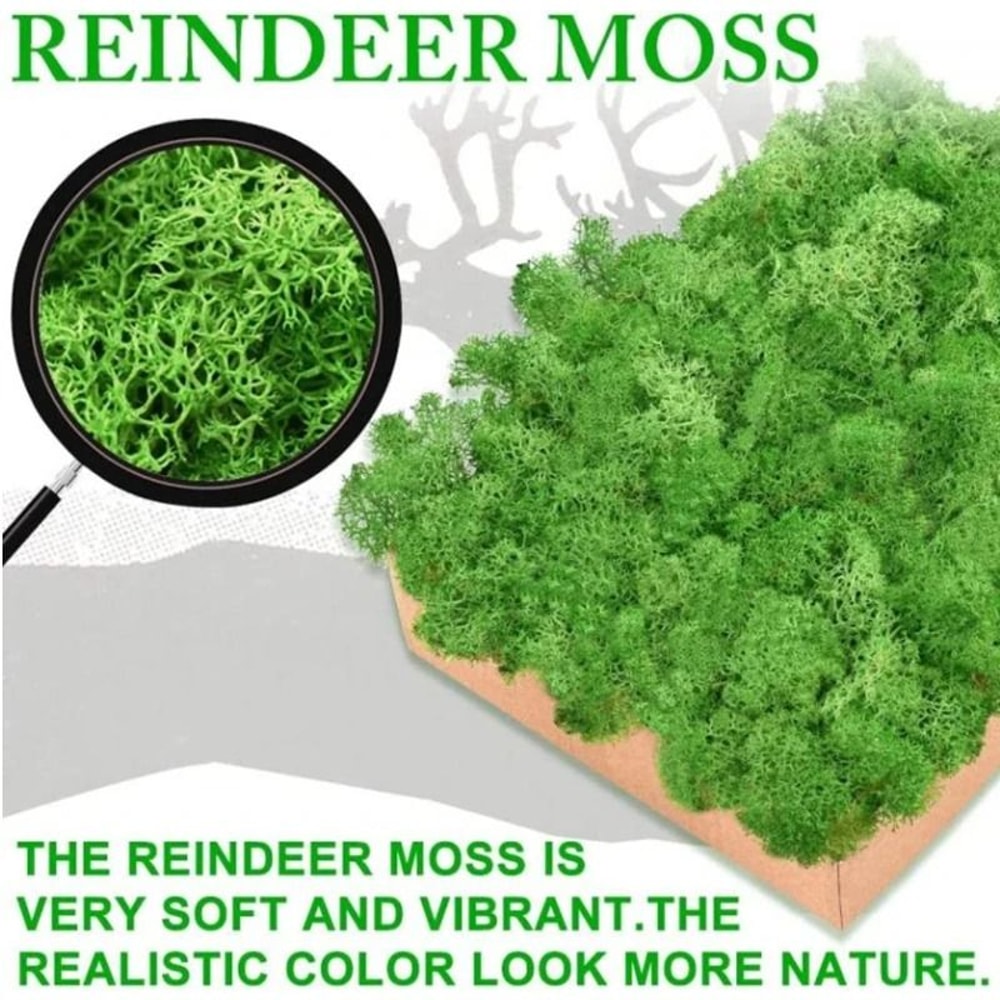 Artificial Moss Decor For Crafts Mini Landscape Green Moss DIY Terrarium Supplies 22