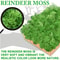 Artificial Moss Decor For Crafts Mini Landscape Green Moss DIY Terrarium Supplies 22