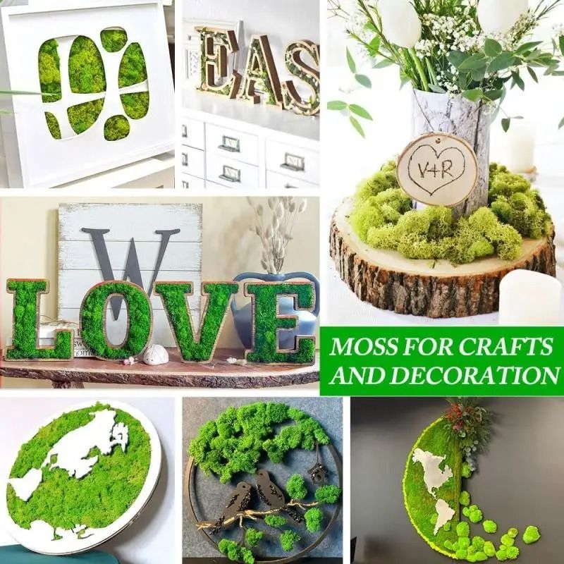 Artificial Moss Decor For Crafts Mini Landscape Green Moss DIY Terrarium Supplies 23