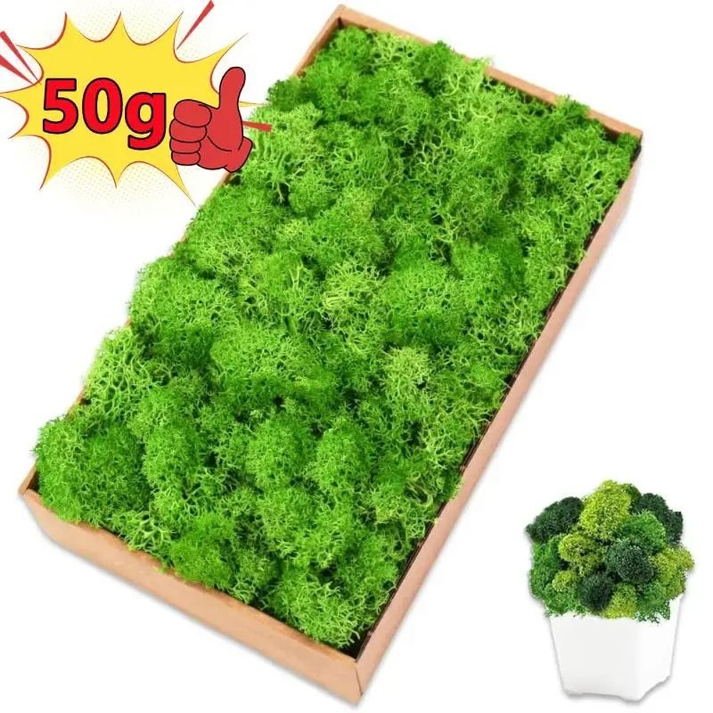 Artificial Moss Decor For Crafts Mini Landscape Green Moss DIY Terrarium Supplies 24