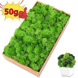artificial moss decor for crafts mini landscape green moss diy terrarium supplies