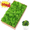 Artificial Moss Decor For Crafts Mini Landscape Green Moss DIY Terrarium Supplies 0