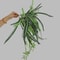 Artificial Orchid Wall Hanging Green Wall Decoration Plant Decor 5