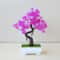 Artificial Bonsai Plant Mini Potted Tree Tabletop Decor 1