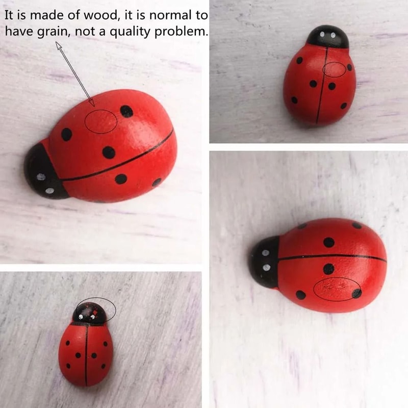 Wooden Ladybug Fairy Garden Decoration Miniature DIY Craft Ornament 8