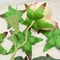 Artificial Rose Leaf Decoration DIY Bouquet Accessories Realistic Rose Bouquet Supplies 4