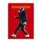 Eminem Rapper Canvas Wall Art Music Poster Print For Bedroom And Living Room Decor 4