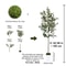 Tall Artificial Olive Tree Branch Realistic Indoor Modern Home Decor Plant 6