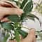 Tall Artificial Olive Tree Branch Realistic Indoor Modern Home Decor Plant 8