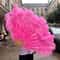 Large Ostrich Feather Fan Folding Dance Performance Stage Prop 2