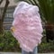 Large Ostrich Feather Fan Folding Dance Performance Stage Prop 23