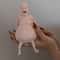 Funny Belly Doll Novelty Home Decor Silicone Gag Gift Toy 6