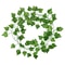 Artificial Ivy Garland Green Wall Decoration Fake Vine Leaves Decor For Home Styling 0