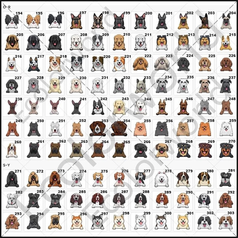 Personalized Cartoon Pet Doormat Custom Name Welcome Rug For Dog And Cat Lovers 4