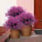 UV Resistant Artificial Outdoor Flowers Plastic Shrub Garden Decor Set 0