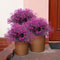 UV Resistant Artificial Outdoor Flowers Plastic Shrub Garden Decor Set 0