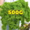 Artificial Moss For Crafts Mini Landscape Moss Fake Grass DIY Decor 11