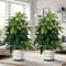 Large Artificial Money Tree Palm Realistic Fake Plant For Indoor Outdoor Decor 6