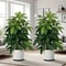 Large Artificial Money Tree Palm Realistic Fake Plant For Indoor Outdoor Decor 6