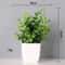 Artificial Bonsai Tree Mini Desk Plant Decor Non Fading Office Centerpiece 1