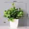Artificial Bonsai Tree Mini Desk Plant Decor Non Fading Office Centerpiece 7
